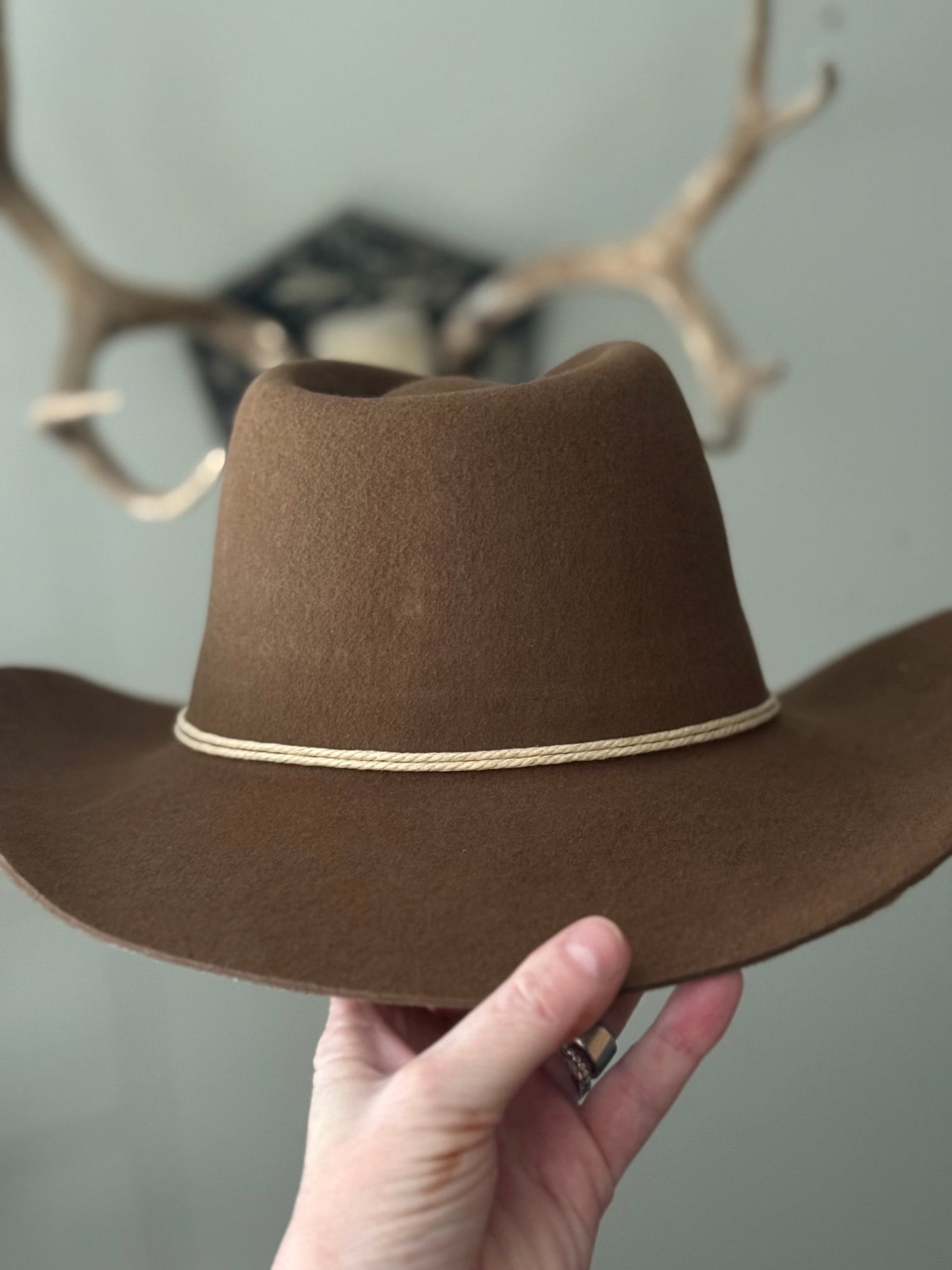 Hand painted brown felt large brimmed hat