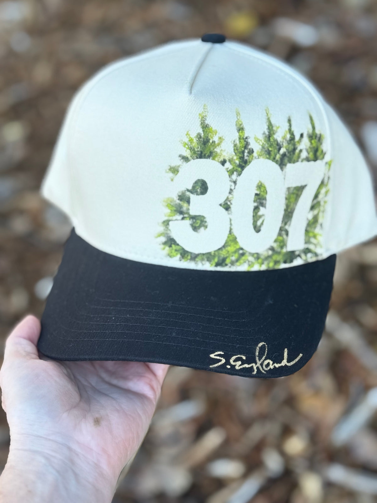 Hand painted wearable art painted on cream/black canvas ball cap - Wyoming vibes