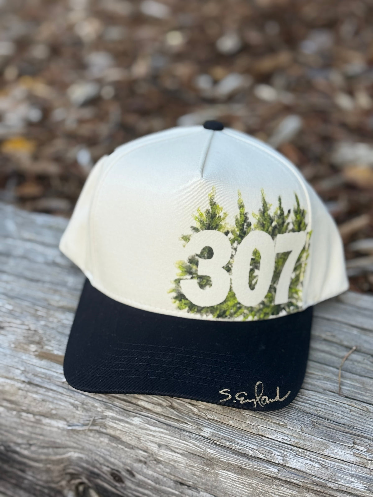 Hand painted wearable art painted on cream/black canvas ball cap - Wyoming vibes