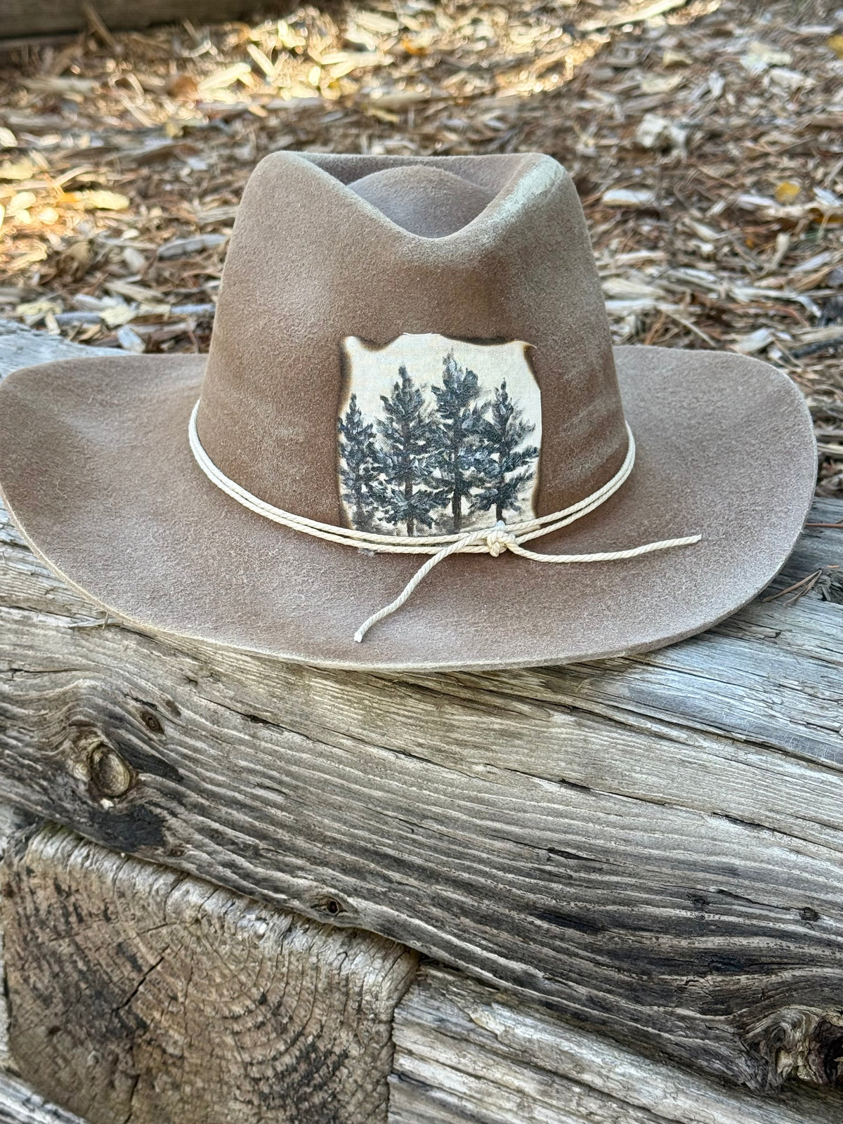 Hand painted brown stiff felt wide brim hat - three blue trees